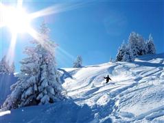 Snowboard and Ski burchen (c) Nic Oatridge